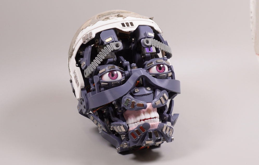 Humanoid Head – NMRobotics