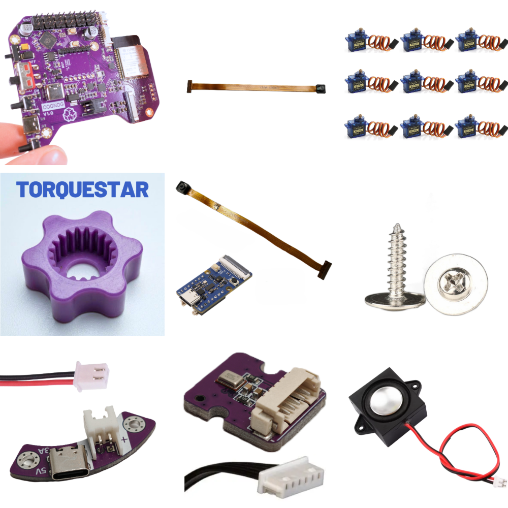 Coglet Essential Kit