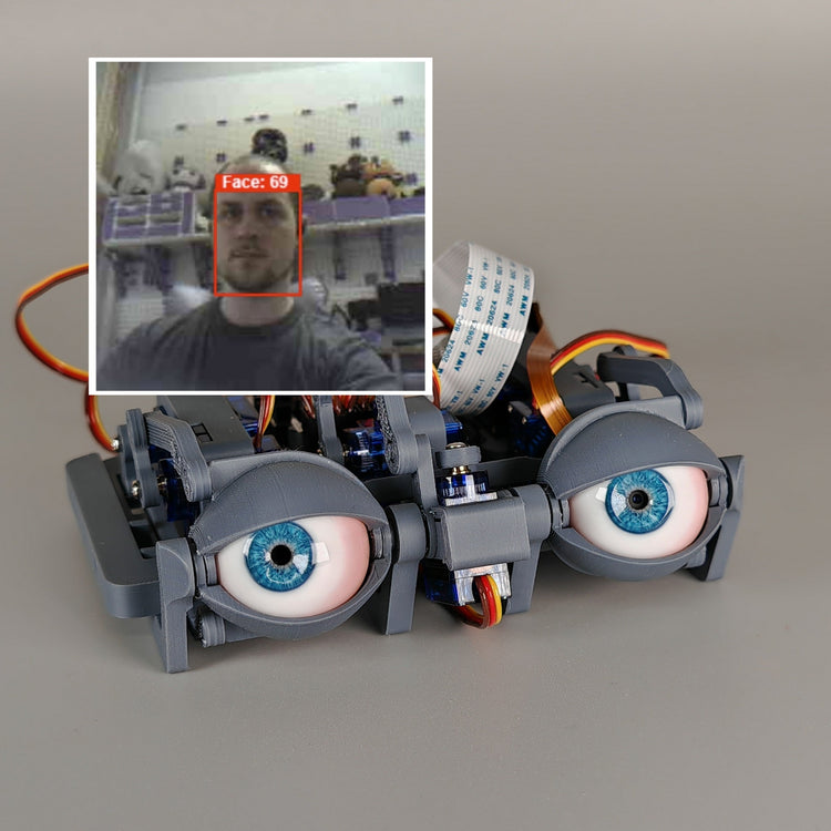 EyeMech ε3.4 with Face Tracking Vision
