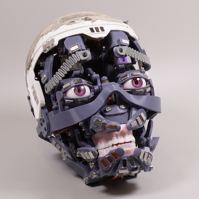 Humanoid Head