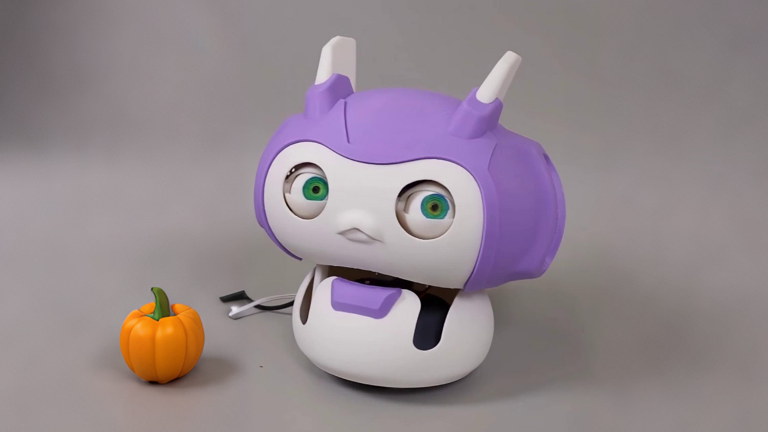 Camera-Eye Follower Bot