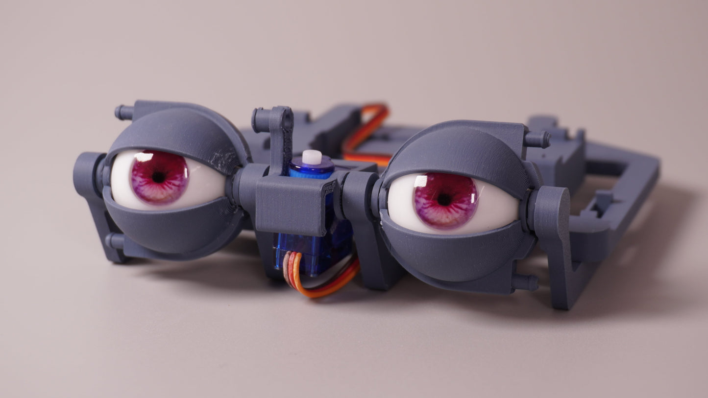 Realistic Eyeball PREORDER - Compatible with ε-Series Eyemechs