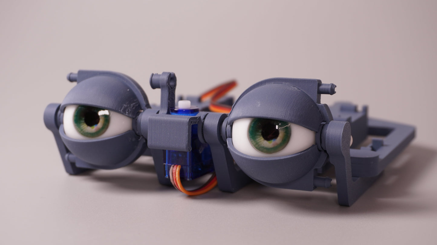 Realistic Eyeball PREORDER - Compatible with ε-Series Eyemechs