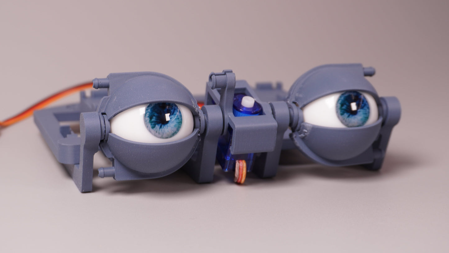 Realistic Eyeball PREORDER - Compatible with ε-Series Eyemechs