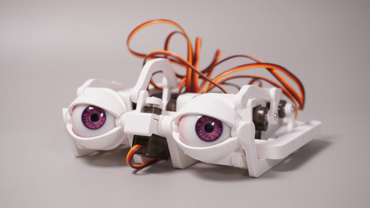 ε-SERIES EYE MECHANISM – NMRobotics
