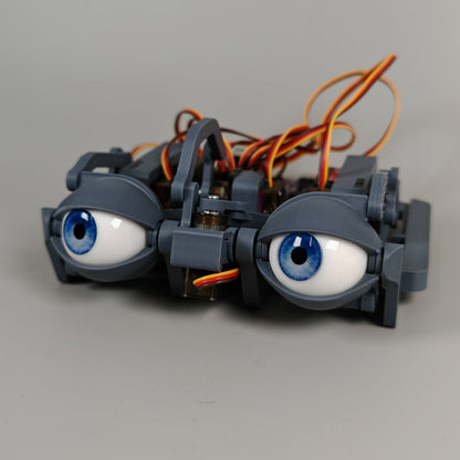 Realistic Eyeball - Compatible with ε-Series Eyemechs