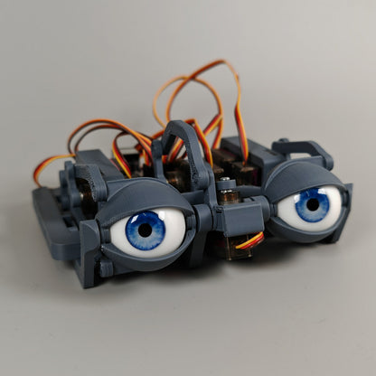 Realistic Eyeball - Compatible with ε-Series Eyemechs
